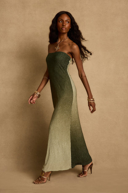 Brianna Sage Ombre Strapless Maxi Dress