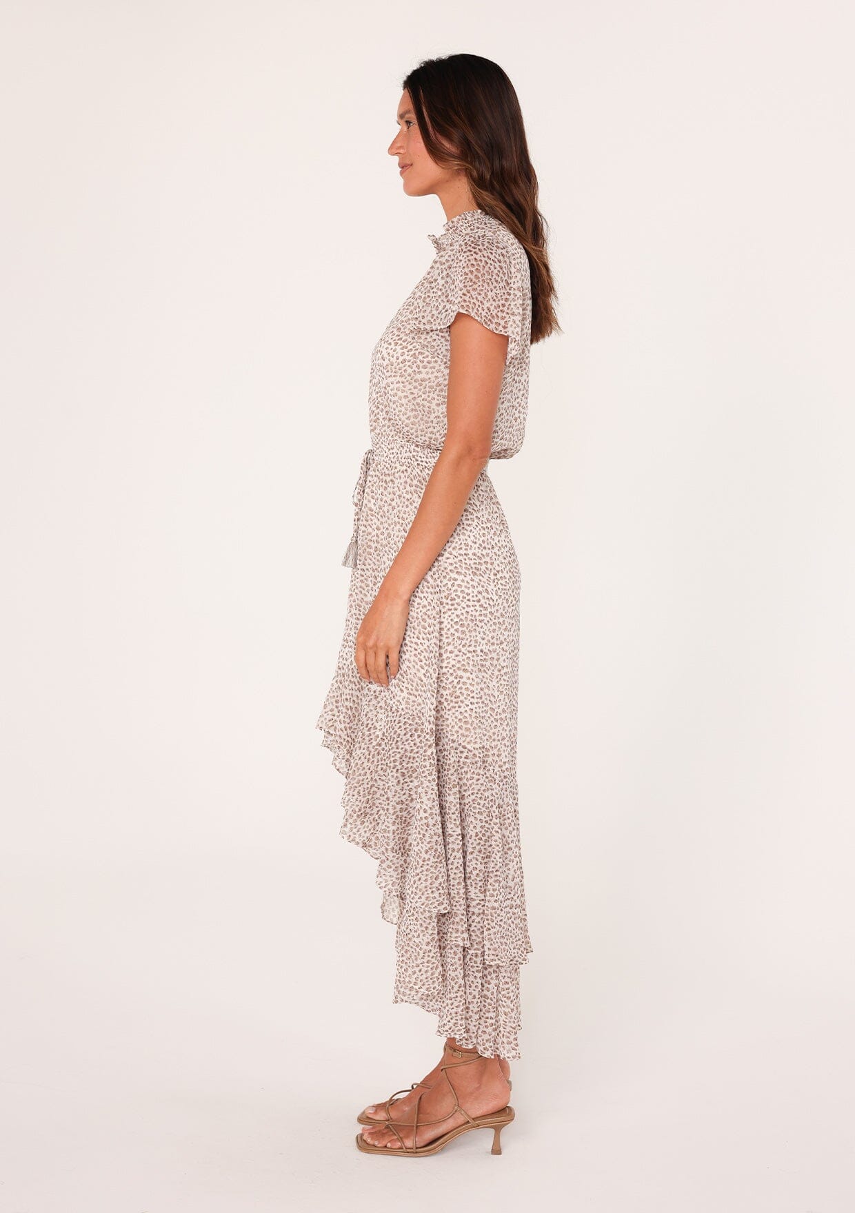 Alessia Animal Print Maxi Dress