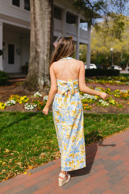 Wild Honey Dress