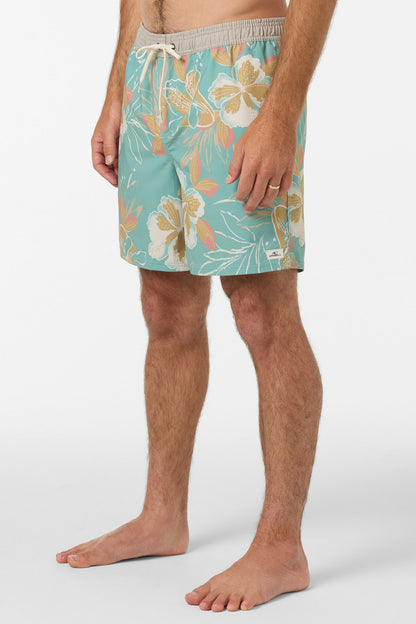 Hermosa Elastic Waist Lined 17" Swim Trunks