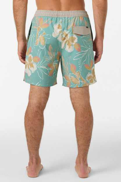 Hermosa Elastic Waist Lined 17" Swim Trunks
